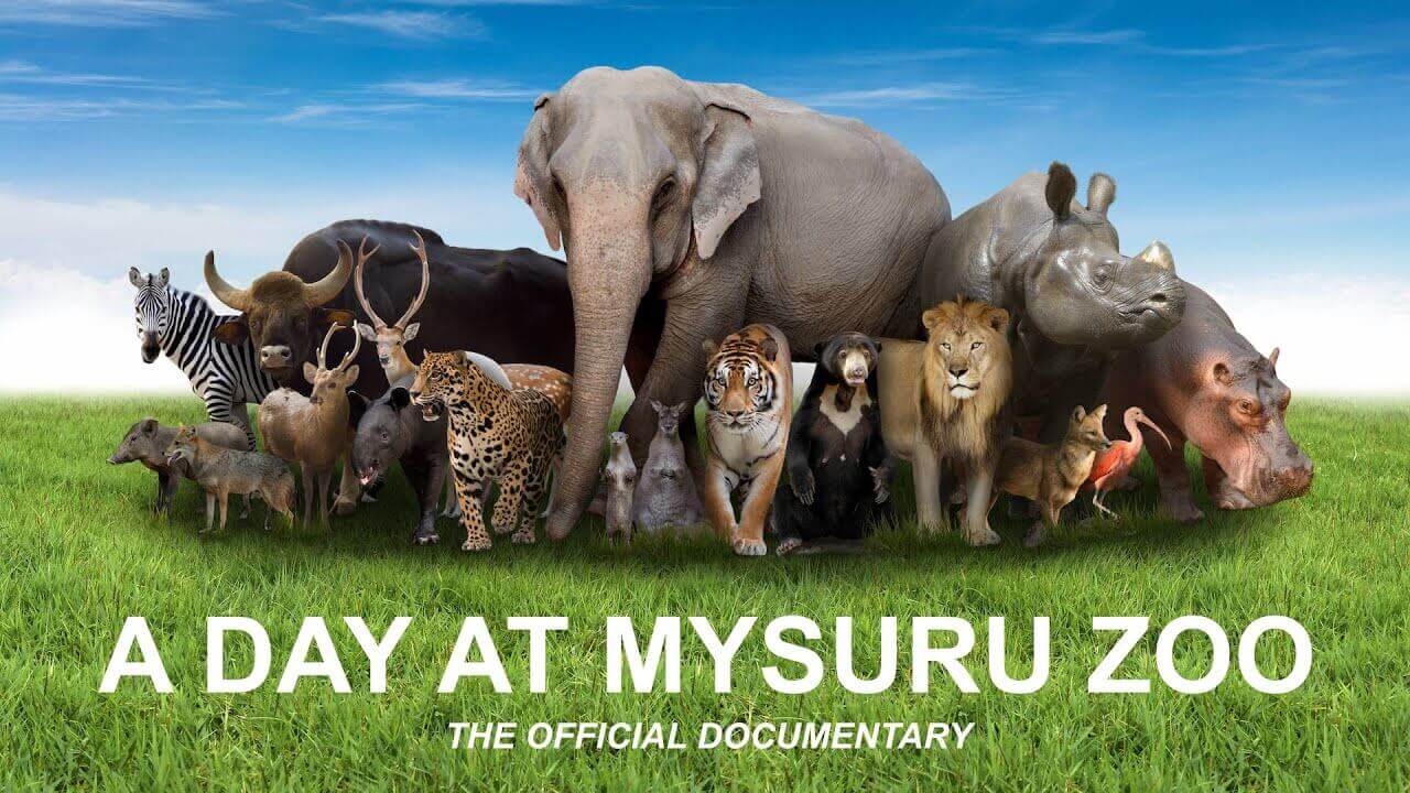 A Day at Mysuru Zoo – Official Documentary 