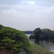 Karanji Lake mysuru11 bxmysuru